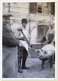 Zum Todesstreich bereit Zum Todesstreich bereit