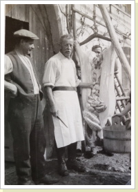 Metzger Hans Gass-Gass (Ammelerhans) Metzger Hans Gass-Gass (Ammelerhans)