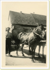 Durchmesser von dieser Tanne 1,45 m. Sommer 1951 Durchmesser von dieser Tanne 1,45 m. Sommer 1951