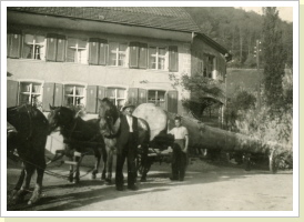 Vater Gisin und Max, grösste Isleten Tanne Vater Gisin und Max, grösste Isleten Tanne