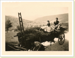 beim Grasladen beim Grasladen