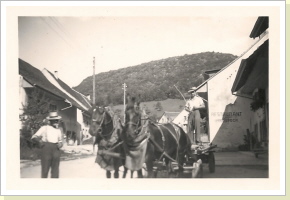 ein Pferdefuhrwerk ein Pferdefuhrwerk