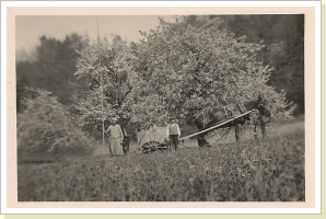 Beim Bäumespritzen Beim Bäumespritzen