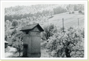 Transformatorenhäuschen in der Mülimatt Transformatorenhäuschen in der Mülimatt